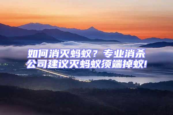 如何消滅螞蟻？專業(yè)消殺公司建議滅螞蟻?lái)毝说粝?