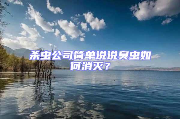 殺蟲公司簡單說說臭蟲如何消滅？