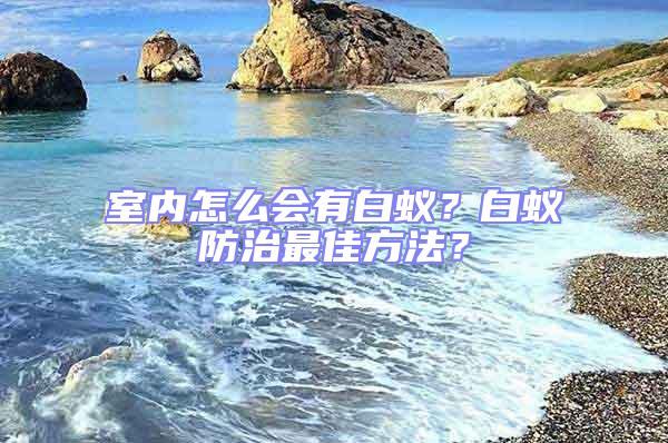 室內怎么會有白蟻？白蟻防治最佳方法？