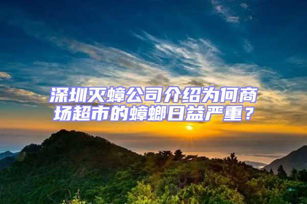 深圳滅蟑公司介紹為何商場(chǎng)超市的蟑螂日益嚴(yán)重？