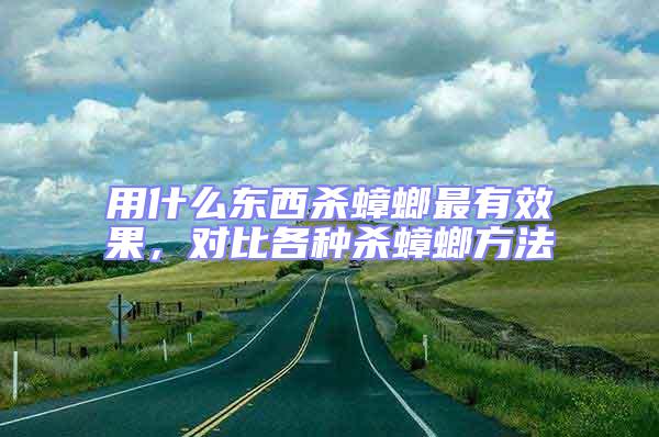 用什么東西殺蟑螂最有效果，對比各種殺蟑螂方法