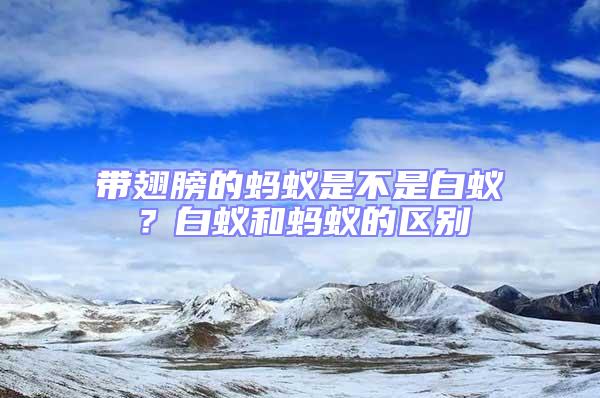 帶翅膀的螞蟻是不是白蟻？白蟻和螞蟻的區(qū)別