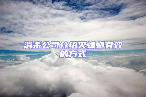 消殺公司介紹滅蟑螂有效的方式