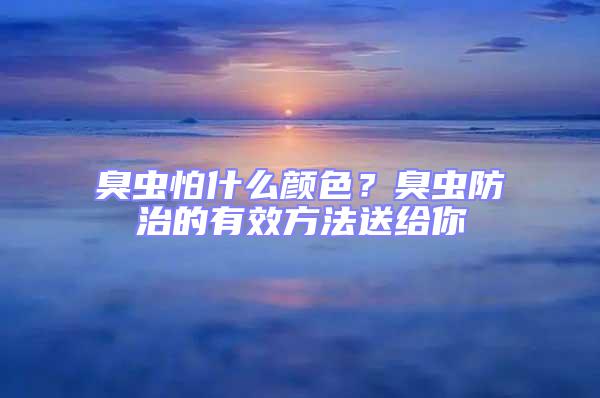 臭蟲(chóng)怕什么顏色？臭蟲(chóng)防治的有效方法送給你