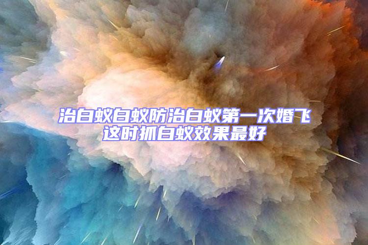 治白蟻白蟻防治白蟻第一次婚飛這時抓白蟻效果最好