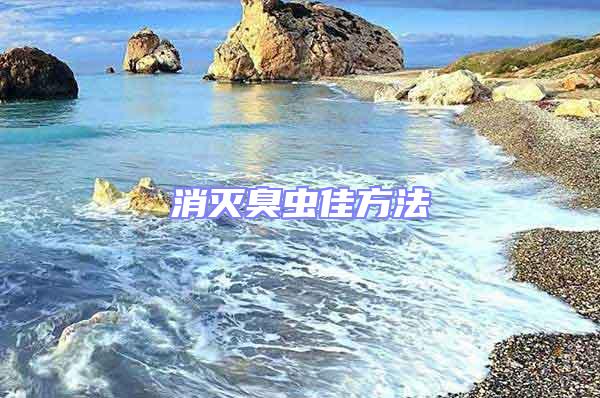 消滅臭蟲(chóng)佳方法