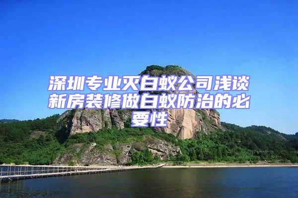 深圳專業(yè)滅白蟻公司淺談新房裝修做白蟻防治的必要性