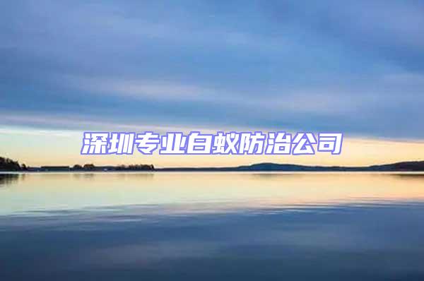 深圳專業(yè)白蟻防治公司