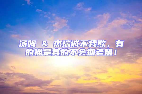 湯姆 & 杰瑞誠不我欺，有的貓是真的不會(huì)抓老鼠！