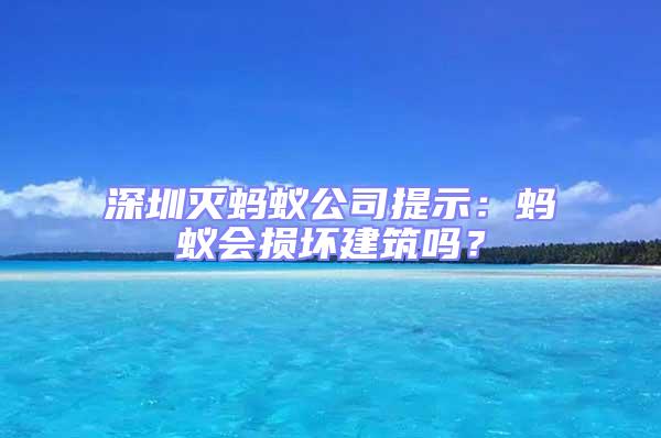 深圳滅螞蟻公司提示：螞蟻會(huì)損壞建筑嗎？