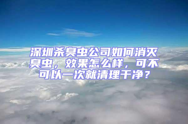 深圳殺臭蟲公司如何消滅臭蟲，效果怎么樣，可不可以一次就清理干凈？