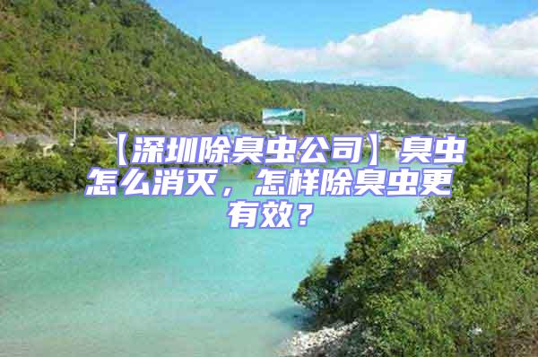 【深圳除臭蟲公司】臭蟲怎么消滅，怎樣除臭蟲更有效？