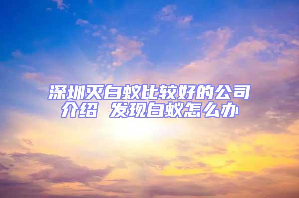 深圳滅白蟻比較好的公司介紹 發(fā)現(xiàn)白蟻怎么辦