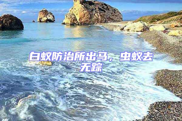 白蟻防治所出馬，蟲蟻去無蹤