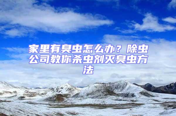 家里有臭蟲怎么辦？除蟲公司教你殺蟲劑滅臭蟲方法