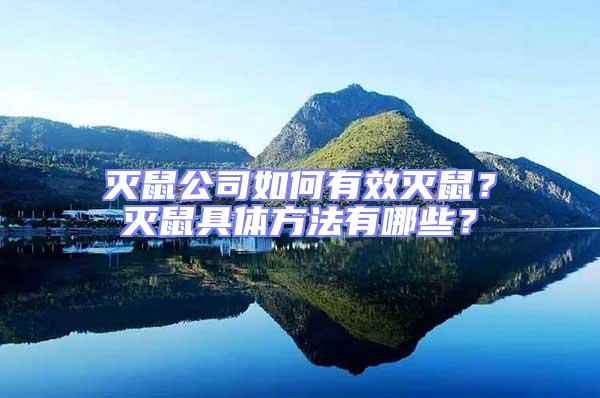 滅鼠公司如何有效滅鼠？滅鼠具體方法有哪些？