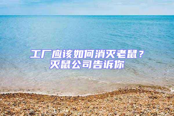 工廠應(yīng)該如何消滅老鼠？滅鼠公司告訴你