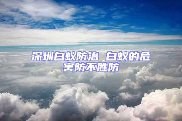 深圳白蟻防治 白蟻的危害防不勝防