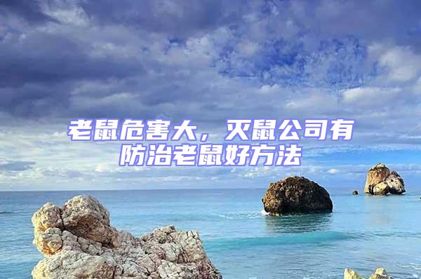 老鼠危害大，滅鼠公司有防治老鼠好方法