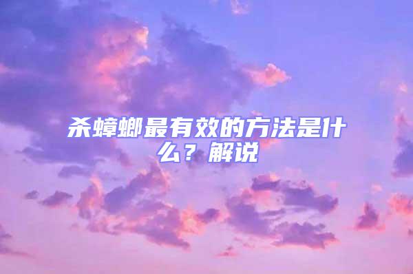 殺蟑螂最有效的方法是什么？解說