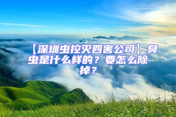 【深圳蟲控滅四害公司】臭蟲是什么樣的？要怎么除掉？