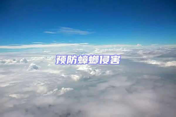 預(yù)防蟑螂侵害