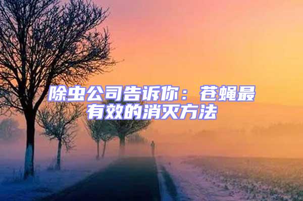 除蟲公司告訴你：蒼蠅最有效的消滅方法