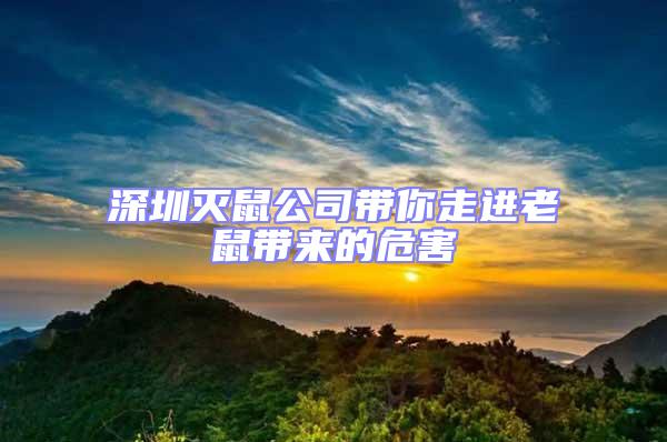 深圳滅鼠公司帶你走進(jìn)老鼠帶來的危害