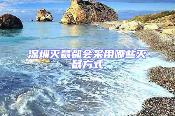 深圳滅鼠都會(huì)采用哪些滅鼠方式