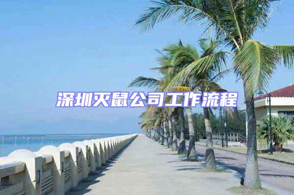 深圳滅鼠公司工作流程