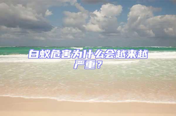 白蟻危害為什么會(huì)越來越嚴(yán)重？