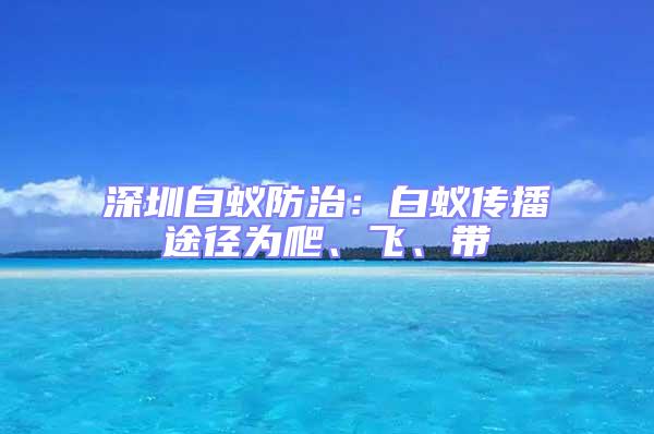 深圳白蟻防治：白蟻傳播途徑為爬、飛、帶