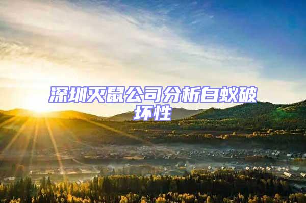 深圳滅鼠公司分析白蟻破壞性