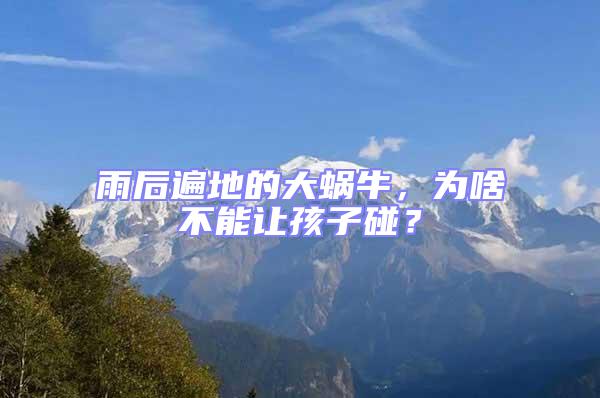 雨后遍地的大蝸牛，為啥不能讓孩子碰？