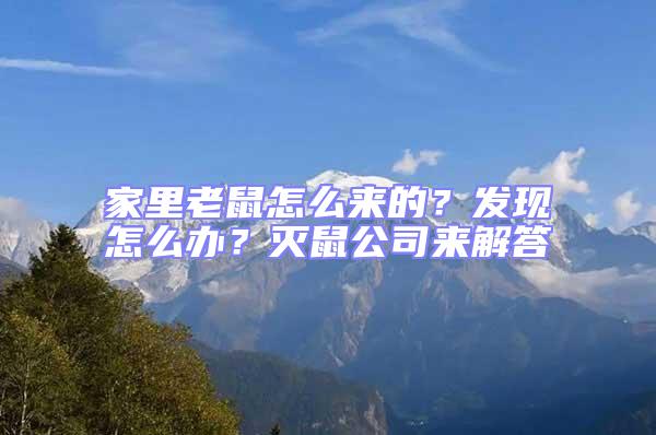 家里老鼠怎么來的？發(fā)現(xiàn)怎么辦？滅鼠公司來解答