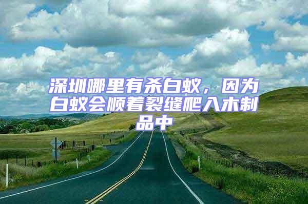 深圳哪里有殺白蟻，因為白蟻會順著裂縫爬入木制品中