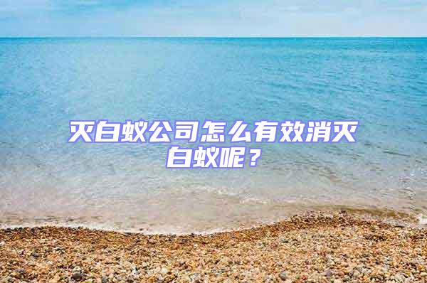 滅白蟻公司怎么有效消滅白蟻呢？