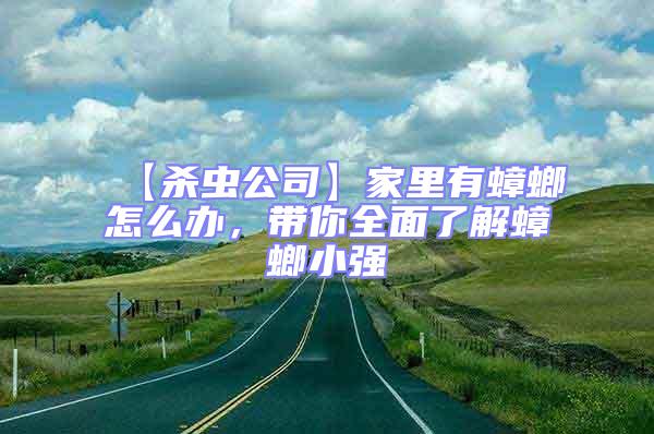 【殺蟲公司】家里有蟑螂怎么辦，帶你全面了解蟑螂小強