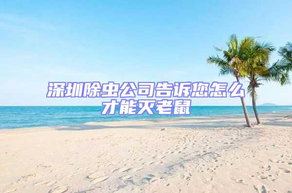 深圳除蟲(chóng)公司告訴您怎么才能滅老鼠