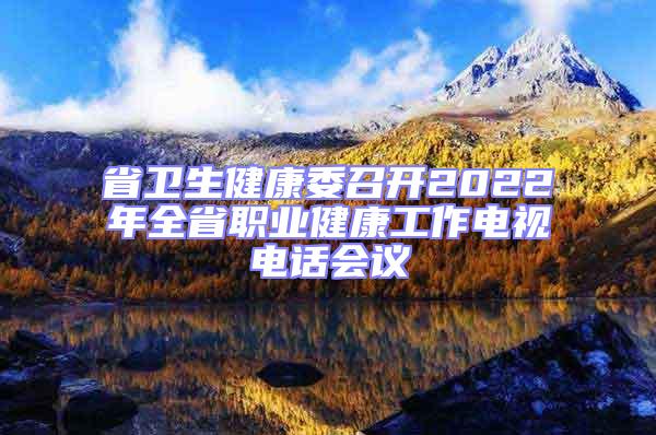 省衛(wèi)生健康委召開(kāi)2022年全省職業(yè)健康工作電視電話會(huì)議