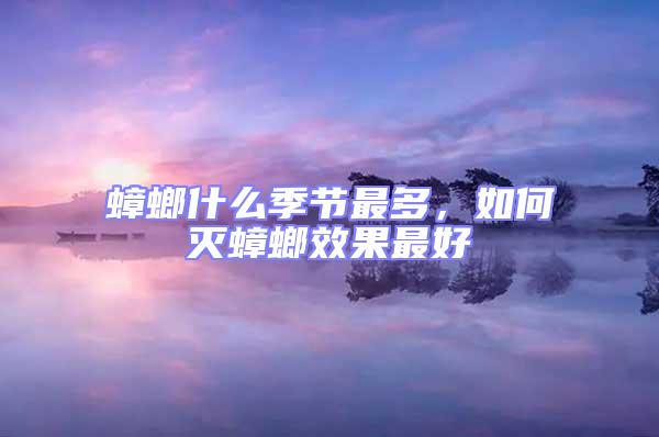 蟑螂什么季節(jié)最多，如何滅蟑螂效果最好