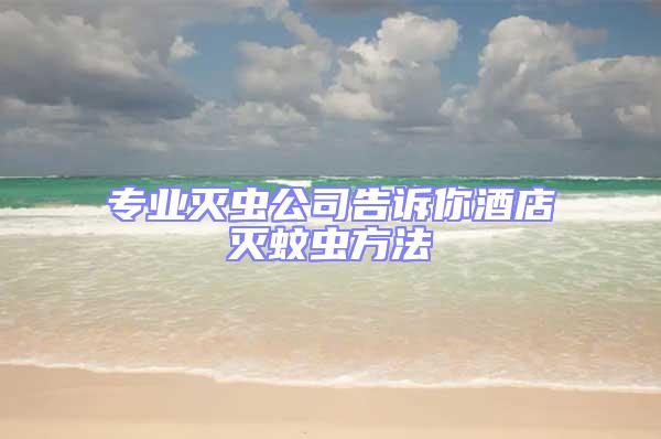 專業(yè)滅蟲公司告訴你酒店滅蚊蟲方法