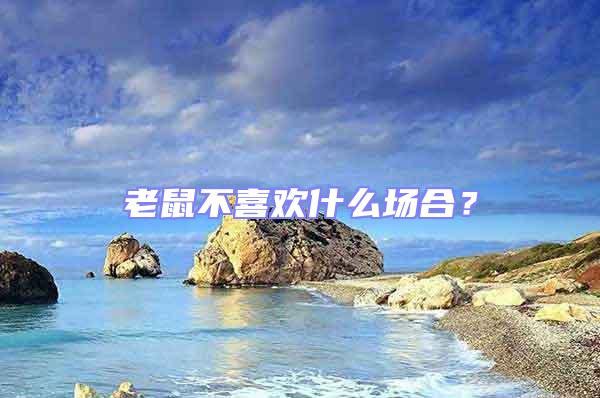 老鼠不喜歡什么場(chǎng)合？