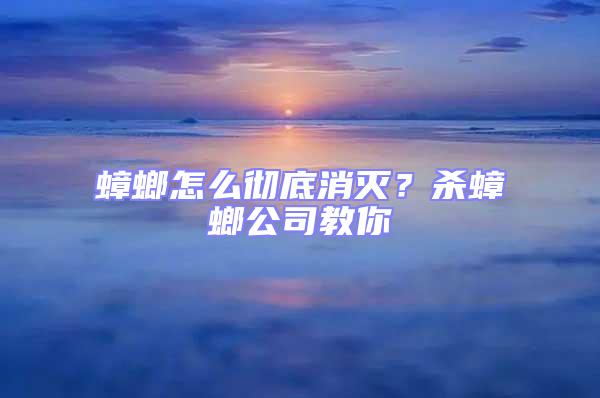 蟑螂怎么徹底消滅？殺蟑螂公司教你