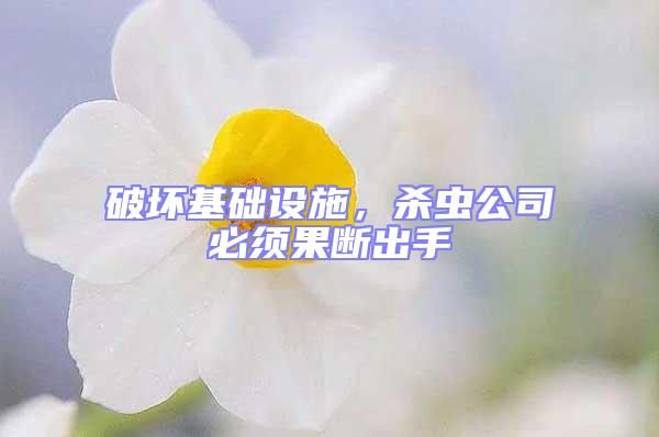 破壞基礎(chǔ)設(shè)施，殺蟲公司必須果斷出手