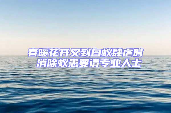 春暖花開又到白蟻肆虐時 消除蟻患要請專業(yè)人士