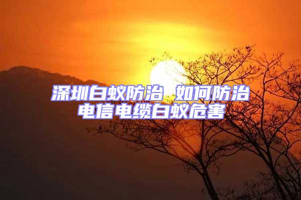 深圳白蟻防治 如何防治電信電纜白蟻危害