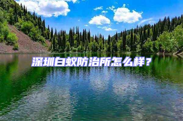 深圳白蟻防治所怎么樣？