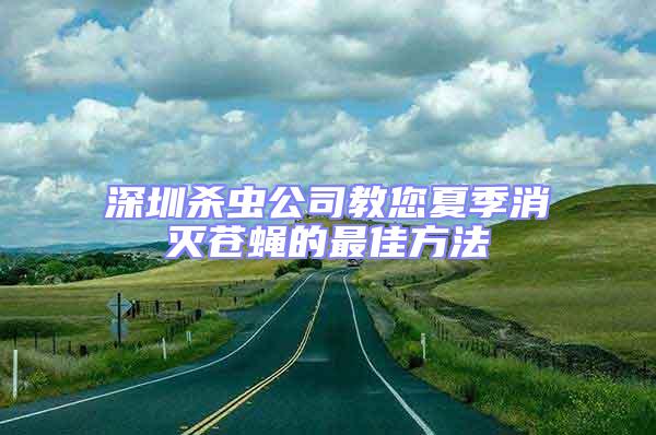 深圳殺蟲公司教您夏季消滅蒼蠅的最佳方法