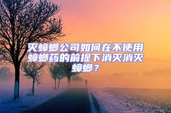 滅蟑螂公司如何在不使用蟑螂藥的前提下消滅消滅蟑螂？